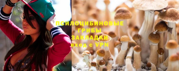 хмурый Сафоново