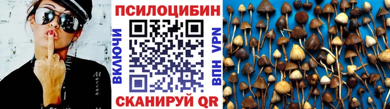 Псилоцибиновые грибы Magic Shrooms  где купить наркоту  Мглин 